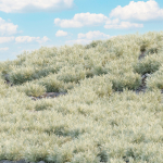 Low Poly Desert Cotton Grass collection vol 212