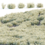 Low Poly Desert Cotton Grass collection vol 212