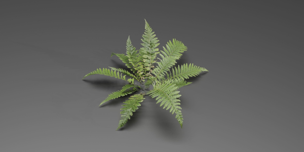 Low Poly Fern Plants Collection vol 217-Blender
