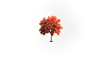 Low Poly Forest Summer Autumn Winter Stylish