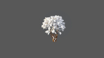 Low Poly Forest Summer Autumn Winter Stylish