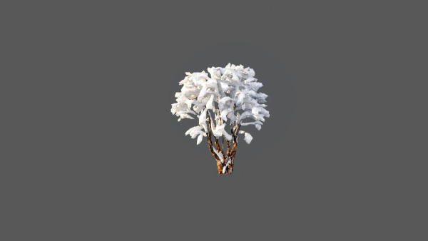 Low Poly Forest Summer Autumn Winter Stylish