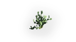 Low Poly Forest Summer Autumn Winter Stylish