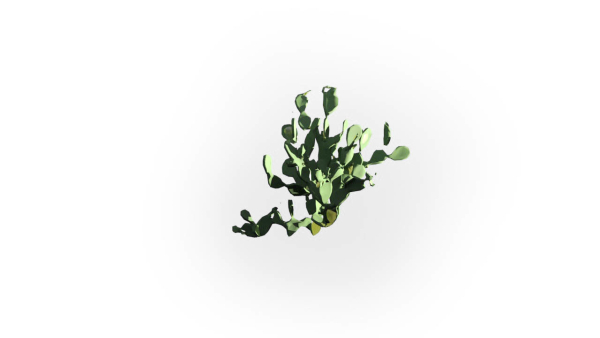 Low Poly Forest Summer Autumn Winter Stylish