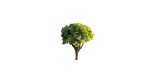 Low Poly Forest Summer Autumn Winter Stylish