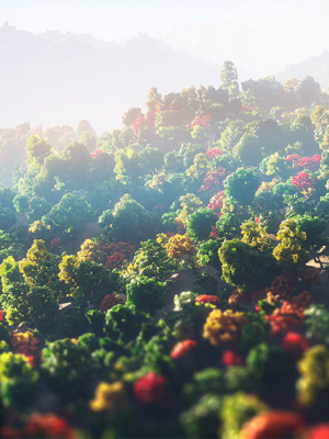 low-poly-forest-summer-autumn-winter-stylish-3d-model-65cff9d7fe