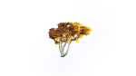 Low Poly Forest Summer Autumn Winter Stylish