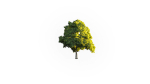 Low Poly Forest Summer Autumn Winter Stylish