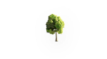 Low Poly Forest Summer Autumn Winter Stylish