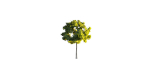 Low Poly Forest Summer Autumn Winter Stylish
