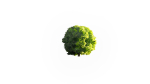Low Poly Forest Summer Autumn Winter Stylish