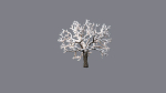 Low Poly Forest Summer Autumn Winter Stylish