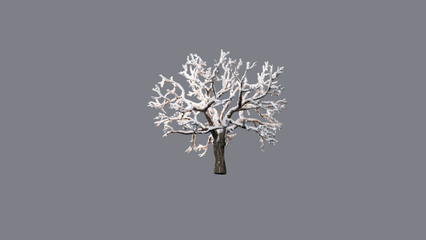 Low Poly Forest Summer Autumn Winter Stylish