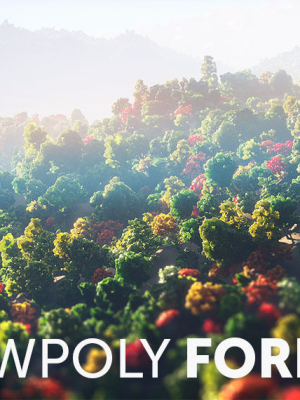Low Poly Forest Summer Autumn Winter Stylish
