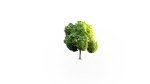 Low Poly Forest Summer Autumn Winter Stylish