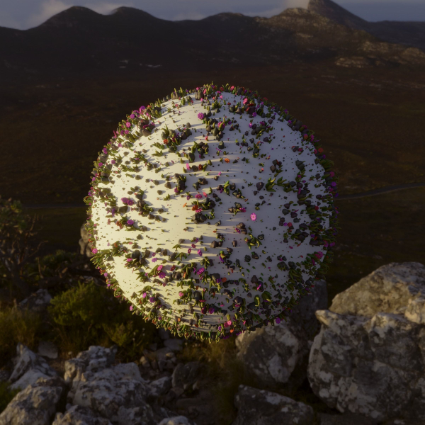 Low poly grass elements