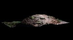 Low-Poly Scanned Mud Hill