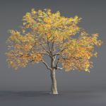 Low poly Oak tree vol 54