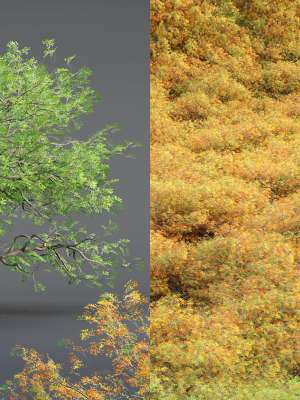Low poly Oak tree vol 54