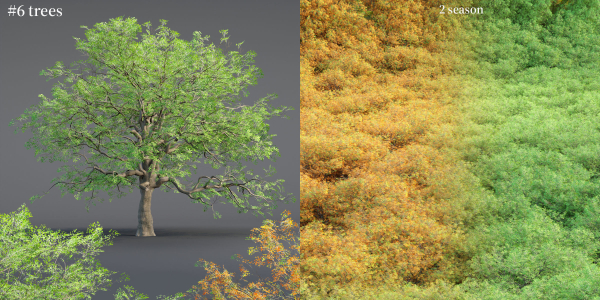 Low poly Oak tree vol 54