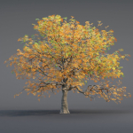 Low poly Oak tree vol 54-Blender