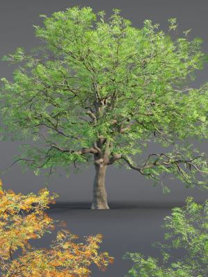 Low poly Oak tree vol 54-Blender