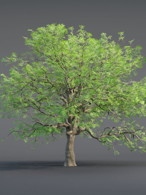 low-poly-oak-tree-vol-54-blender-3d-model-be152ade48