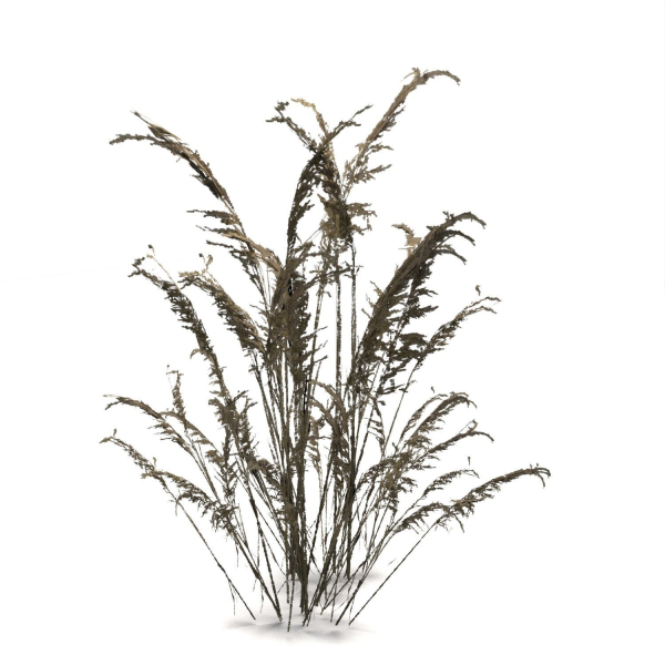 Low Poly Old Grass Dry - Game Ready Plant
