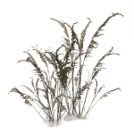 Low Poly Old Grass Dry - Game Ready Plant