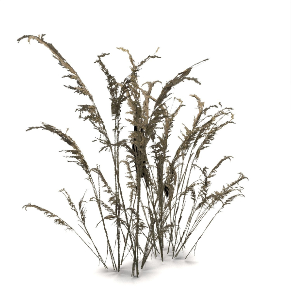 Low Poly Old Grass Dry - Game Ready Plant