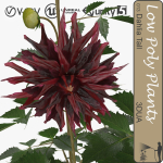 Low Poly Plants dandelion flowers