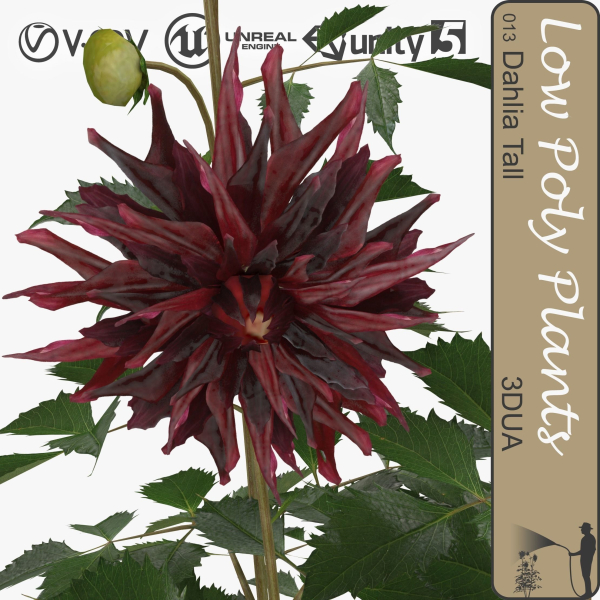 Low Poly Plants dandelion flowers