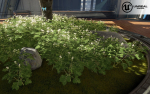 Low Poly Plants dandelion flowers