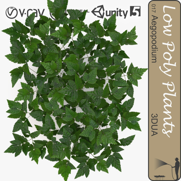 Low Poly Plants dandelion flowers