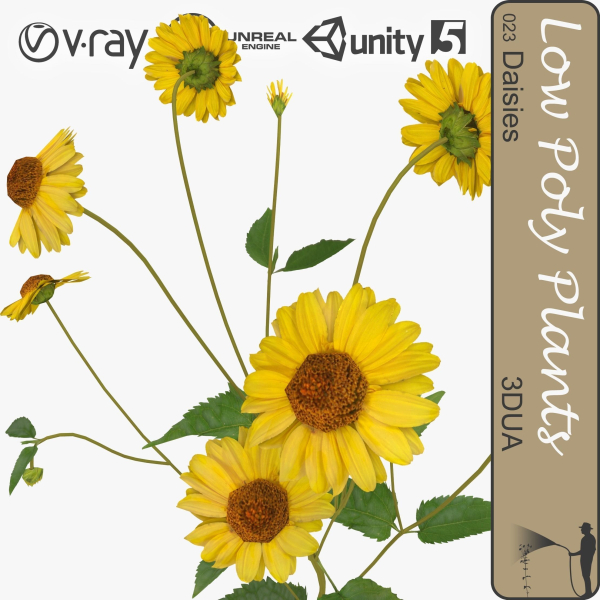 Low Poly Plants dandelion flowers