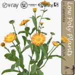 Low Poly Plants dandelion flowers
