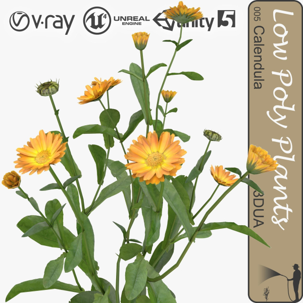 Low Poly Plants dandelion flowers