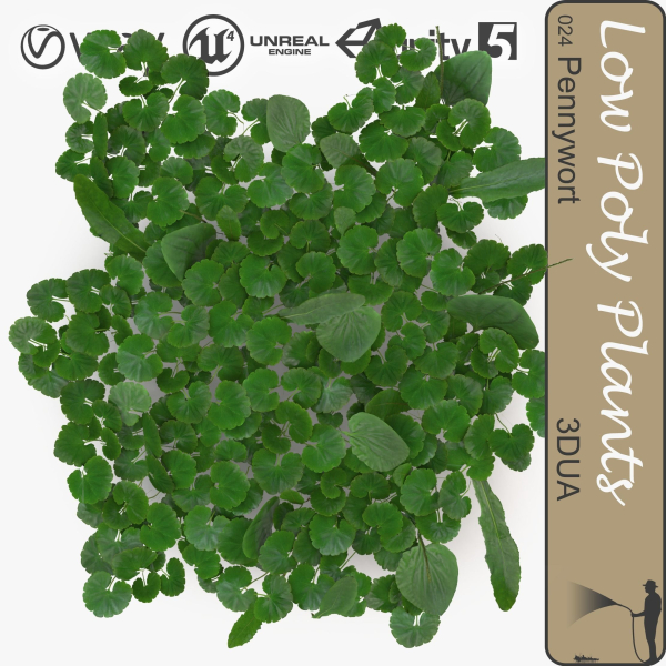 Low Poly Plants dandelion flowers