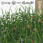Low Poly Plants dandelion flowers