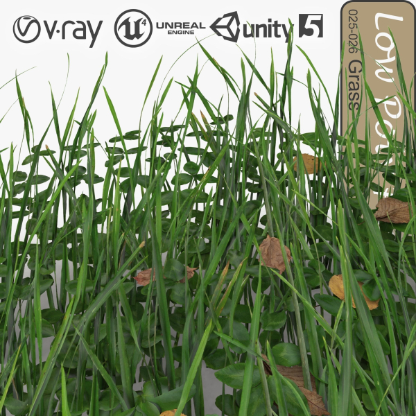 Low Poly Plants dandelion flowers