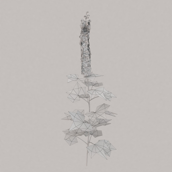 Low Poly Plants dandelion flowers