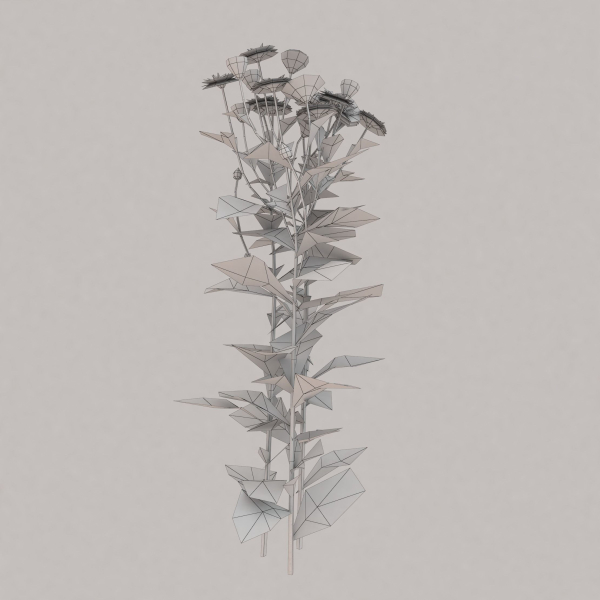 Low Poly Plants dandelion flowers