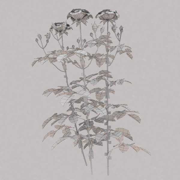 Low Poly Plants dandelion flowers