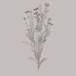Low Poly Plants dandelion flowers