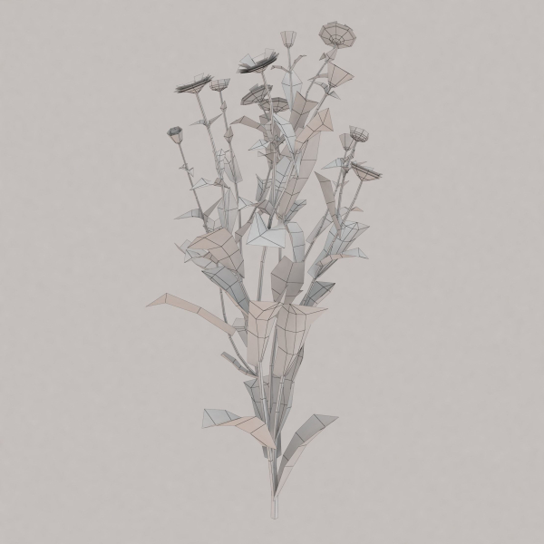 Low Poly Plants dandelion flowers