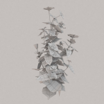 Low Poly Plants dandelion flowers