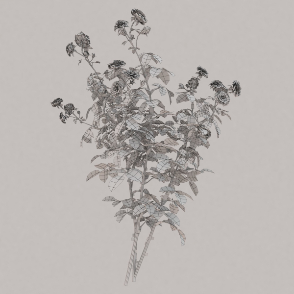 Low Poly Plants dandelion flowers