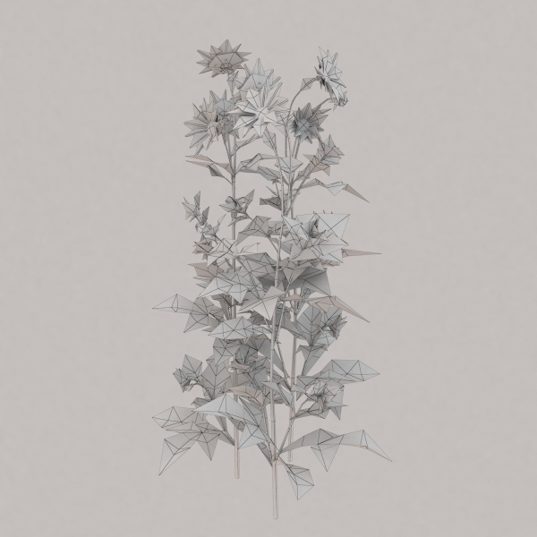 Low Poly Plants dandelion flowers