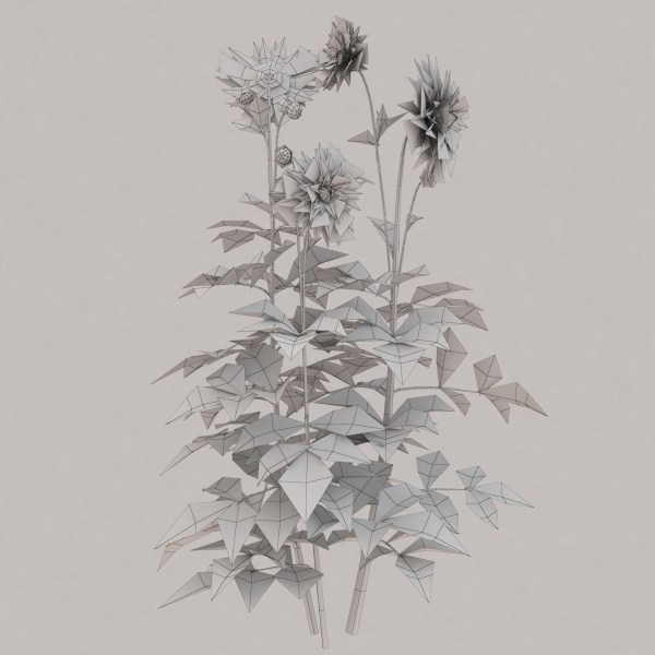Low Poly Plants dandelion flowers