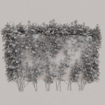 Low Poly Plants dandelion flowers